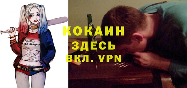дживик Алзамай